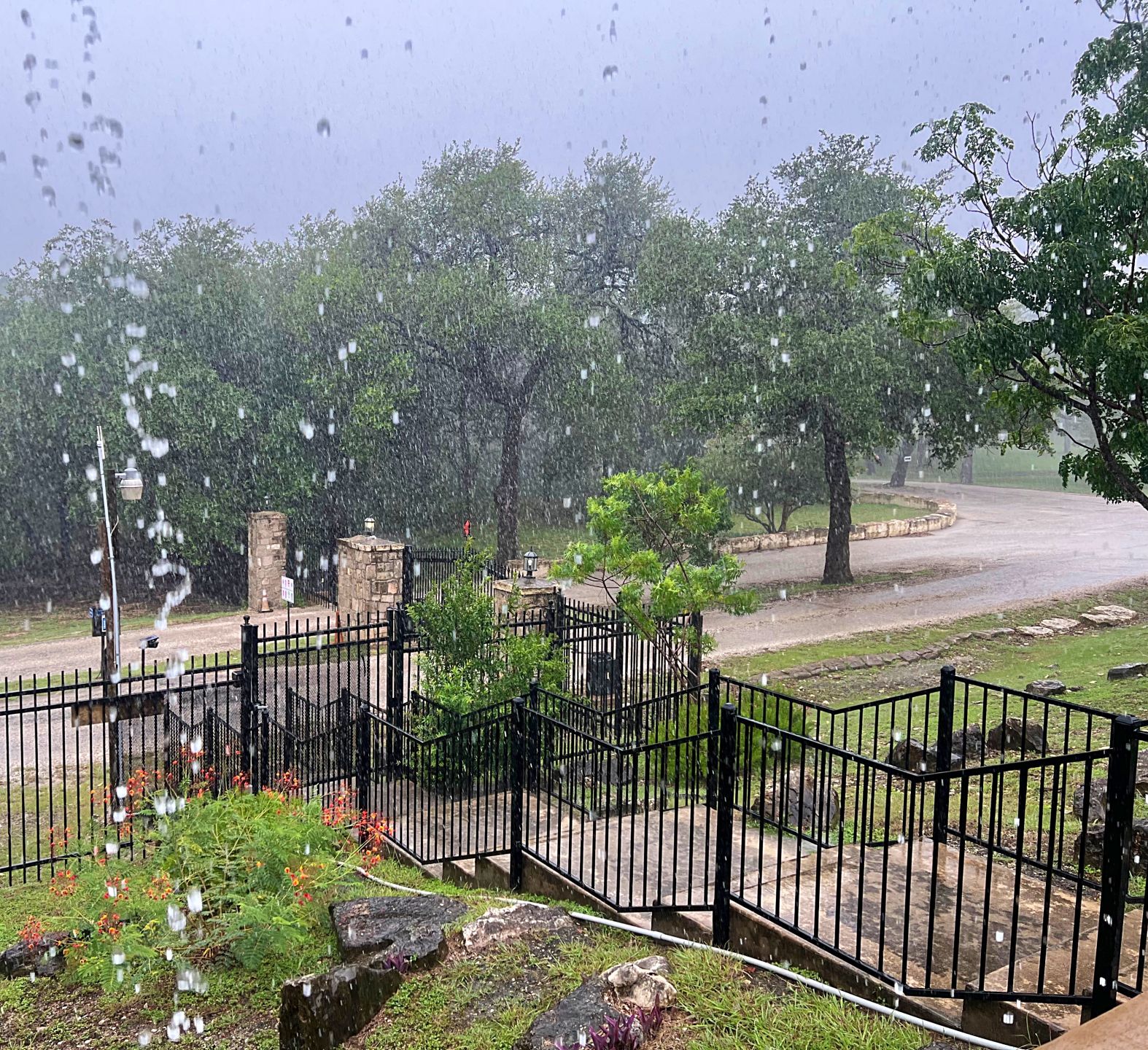 RAIN.jpeg